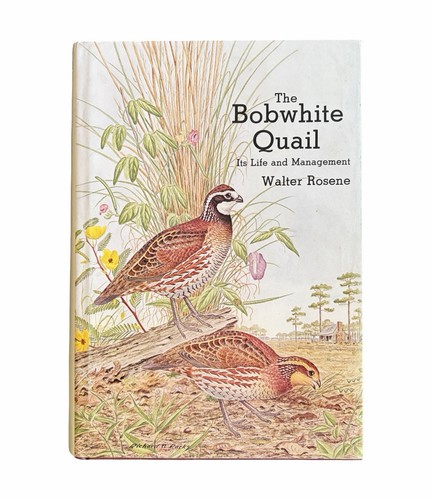The bobwhite quail its life - quail,