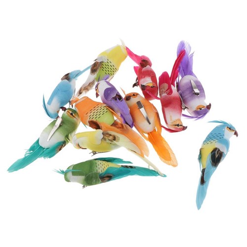 Pack feathered parrot - of, 12
