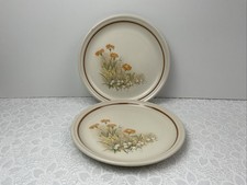 Marks & Spencer M&S Field