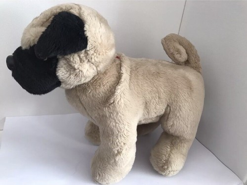 Pug puppy dog - pug, black