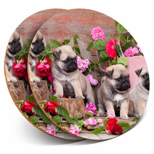 Coasters pug dog puppies - coasters,