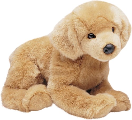Douglas honey golden retriever - golden,