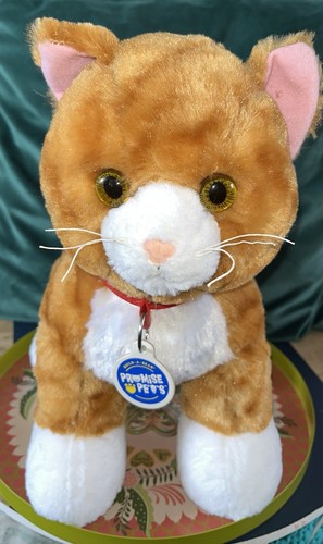 Build bear promise - build,