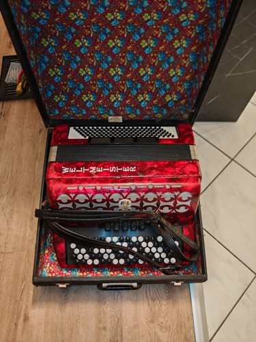 Accordion world champion - accordion,