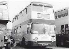 Bus Photo: NNO66P Colchester