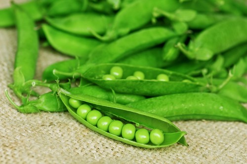 Pea lincoln seeds 250 - pea,