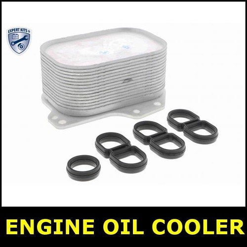 Engine oil cooler for - engine, seat