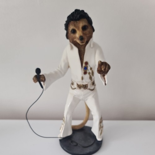 Country artist meerkat elvy - elvy,