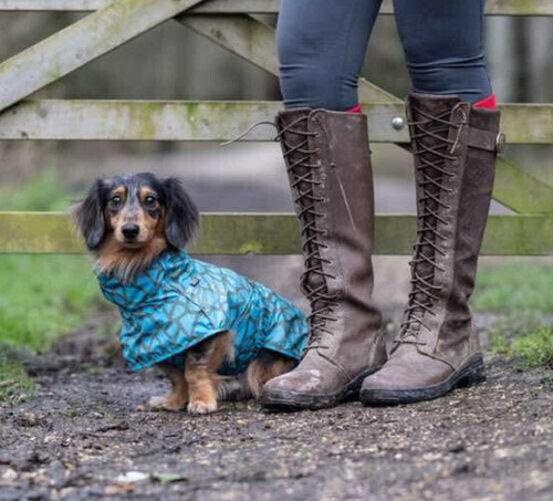 Rukka pets hayton - pets,