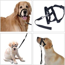 Halter Style Head Collar Stops
