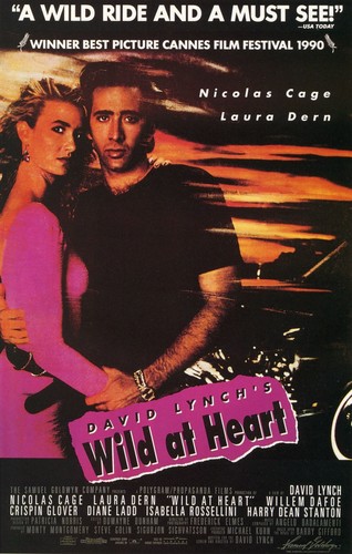 Wild heart d lynch - wild, at