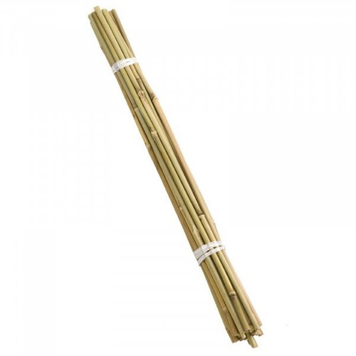 Bamboo cane bundles - cane,