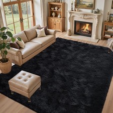 5X7 Black Area Rugs for Living