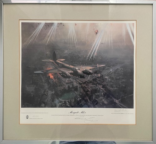 Mosquito signed print - mosquito,