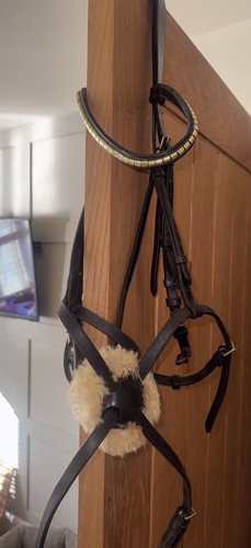 Grackle bridle large - grackle,