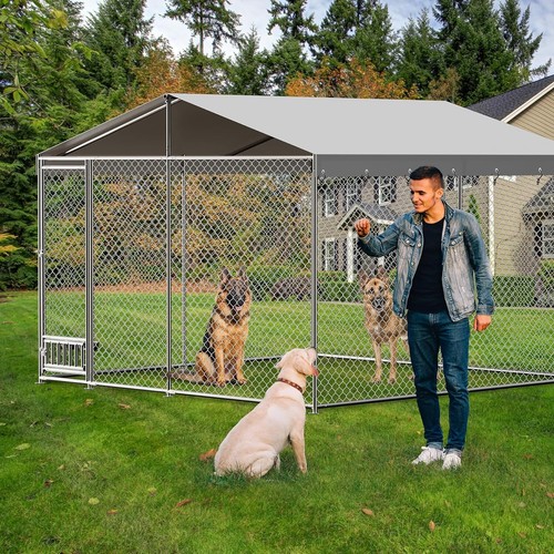 Outdoor pet dog - outdoor, run
