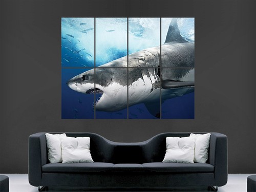 Great white shark - great, sea