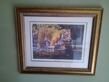 'WADING TIGER' BY STEPHEN GAYFORD - NUMBERED & SIGNED FRAMED PRINT