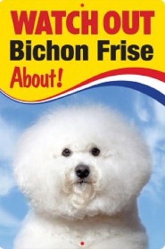 Bichon frise dog - , sign