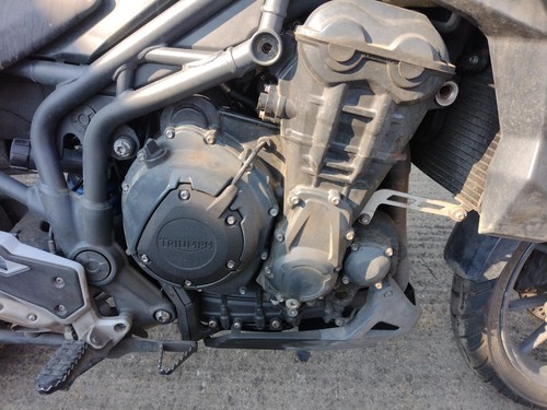 2012 triumph tiger - 2012,
