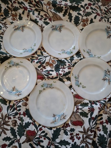Pyrex glass side plates wild - pyrex,