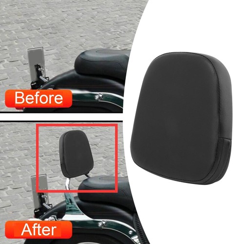 Motorcycle sissy bar - sissy, pad