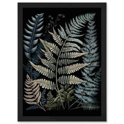 Fern frond species detailed - frond,