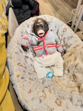 Monkey Reborn Doll Baby