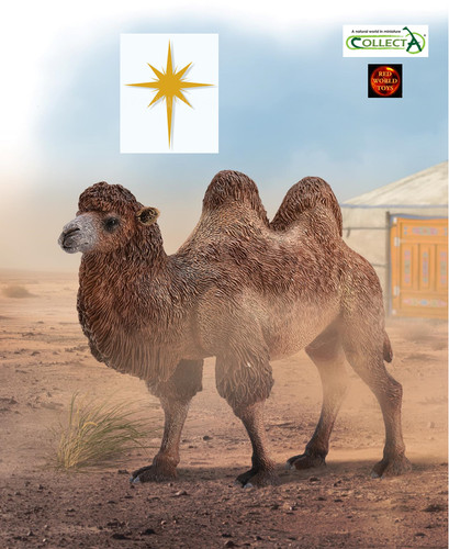 Bactrian camel wildlife toy - wildlife,