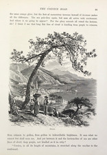 Mentone The Cornice Road between Nice and Genoa woodcut print 1875