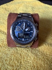 Citizens Promaster Skyhawk