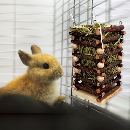 Hay feeder manger - hay, natural