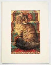 LESLEY ANNE IVORY CAT - Small
