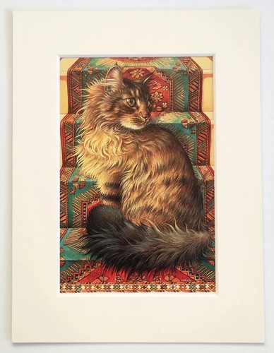 Lesley anne ivory cat small - lesley,