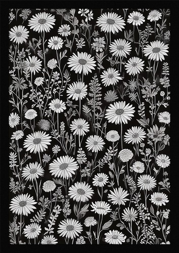 Wildflowers beautiful framed - beautiful,