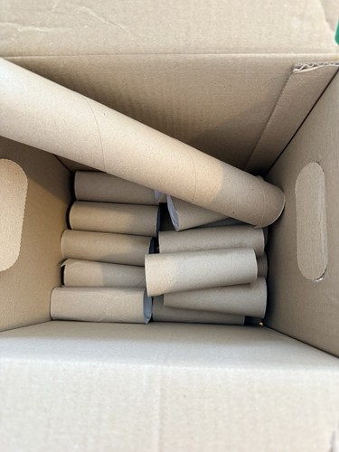 Cardboard toilet roll tubes - cardboard, 13