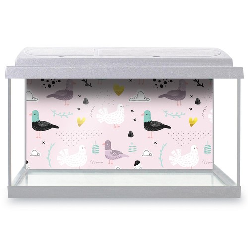 Fish tank background pigeon - background,