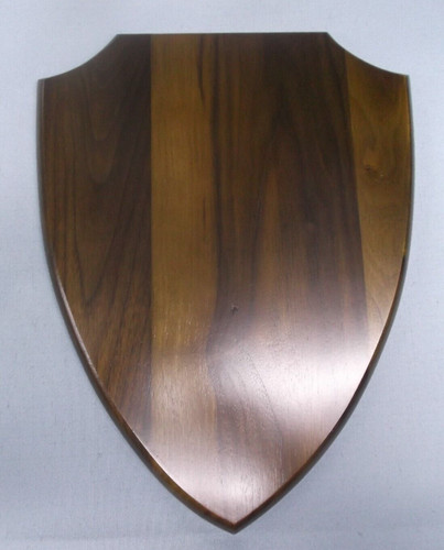 1 2 plaque shield - 10,