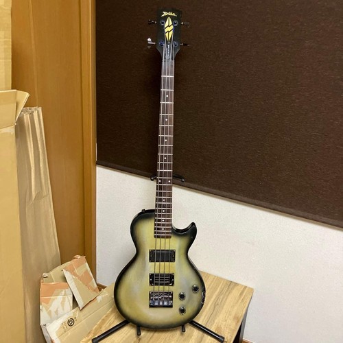 Brian bacchus rare les paul - brian, by
