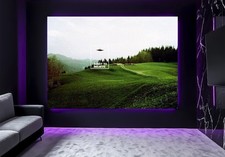 Large X Files Want To Believe