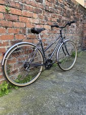 Raleigh Women’s Pioneer