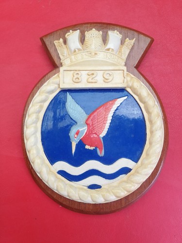 829 naval air squadron large - naval,
