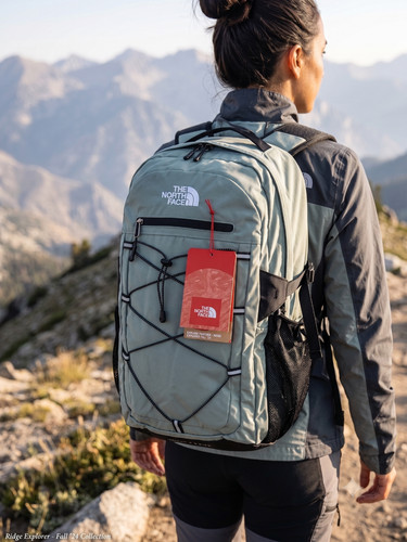 The north face - the,