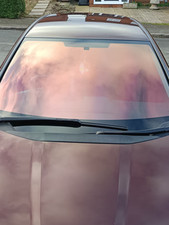 Chameleon Tint Real Pictures