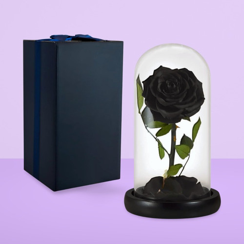Forever preserved real black - forever,