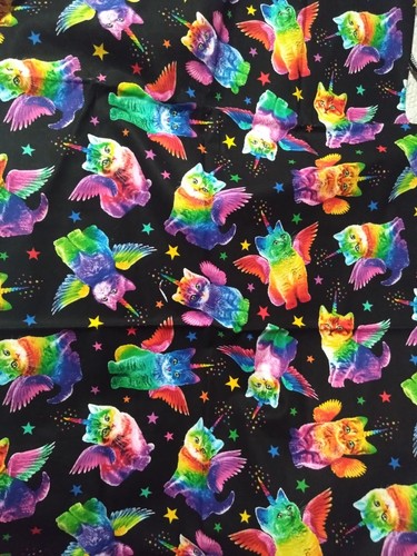 Rainbow unicorn cat - rainbow,