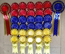 Dog Show Rosettes 10 x 1st to