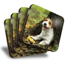 Set of 4 Square Coasters - Jack Russell Terrier Puppy Dog Pet  #16304