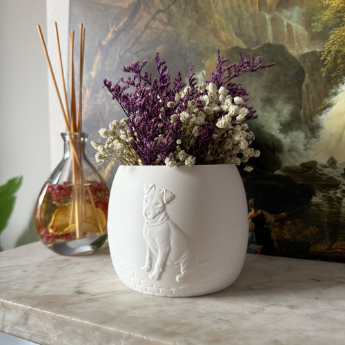 Self watering plant - watering,