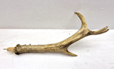 Large Natural Deer Antler Wall Hook Blank Prepared Dowel Spigot Mount 30cm